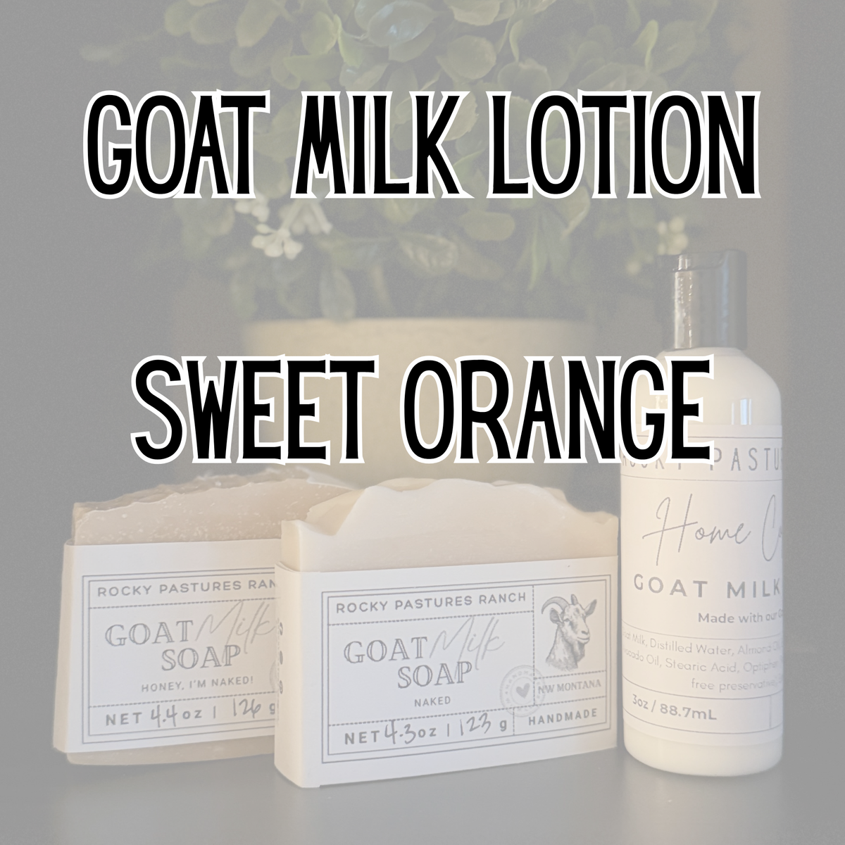 Goat Milk Lotion - 3oz