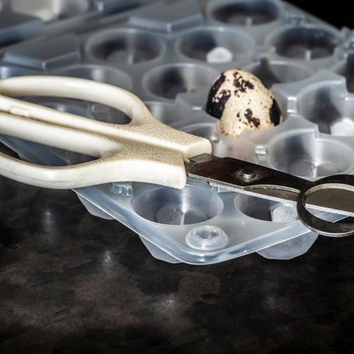 Quail Scissors
