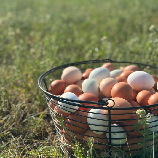 Farm Fresh Eggs - Subscription